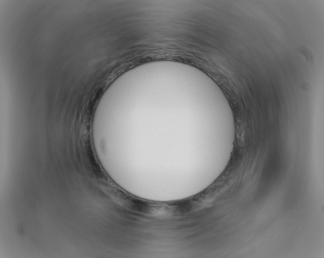 X0000112910226200908241015