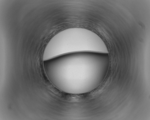 X0000112910229200908241015
