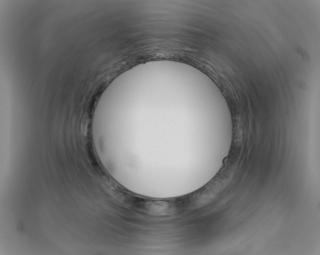 X0000112910230200908241015