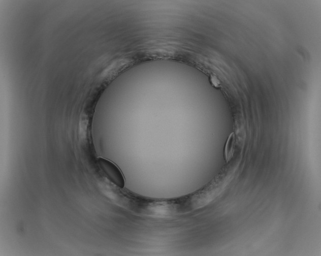 X0000112910231200908241015