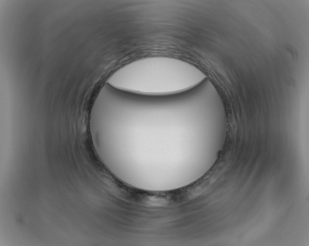 X0000112910232200908241015