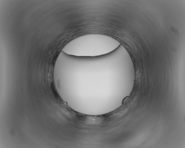 X0000112910234200908241015