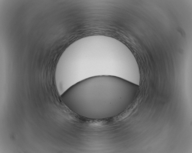 X0000112910235200908241015