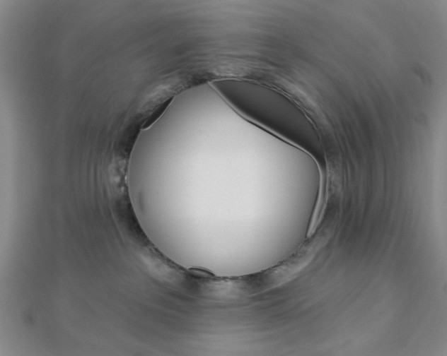 X0000112910237200908241015