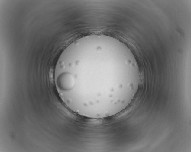 X0000112910238200908241015