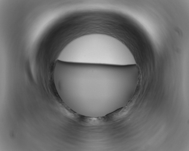 X0000112910239200908241015