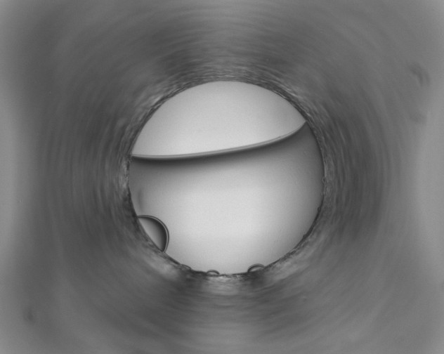 X0000112910240200908241015