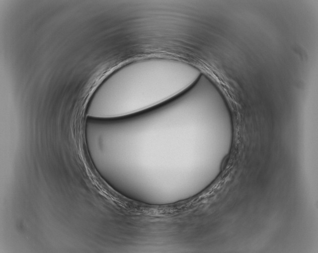 X0000112910241200908241014