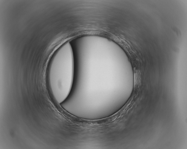 X0000112910243200908241015