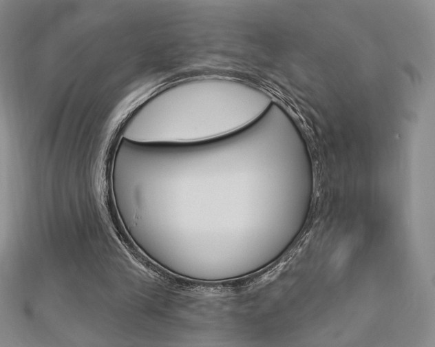 X0000112910245200908241015