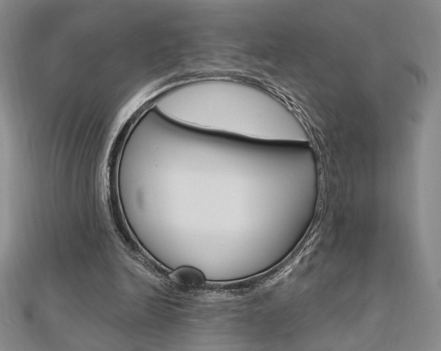 X0000112910246200908241015