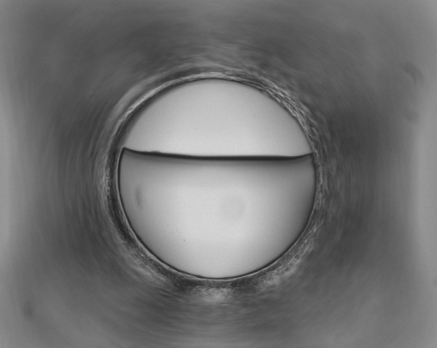 X0000112910247200908241015