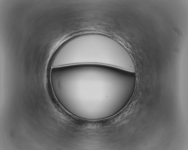 X0000112910248200908241015