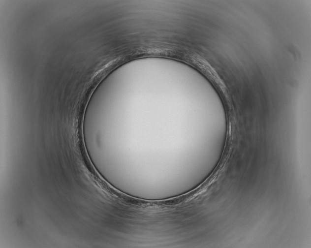 X0000112910249200908241015