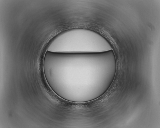X0000112910250200908241015