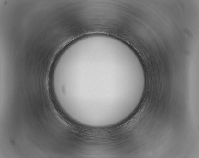 X0000112910252200908241015