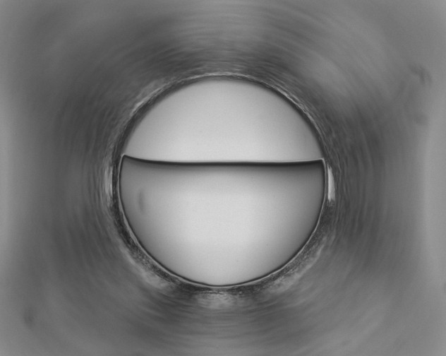 X0000112910253200908241015