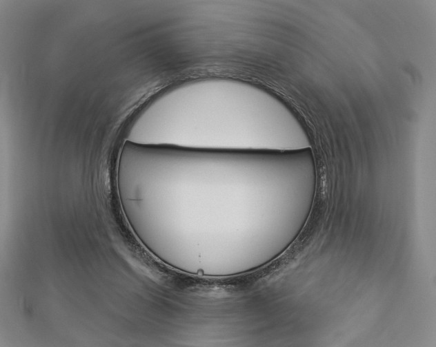 X0000112910254200908241015