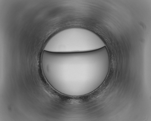 X0000112910255200908241015