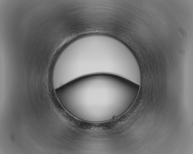 X0000112910256200908241015