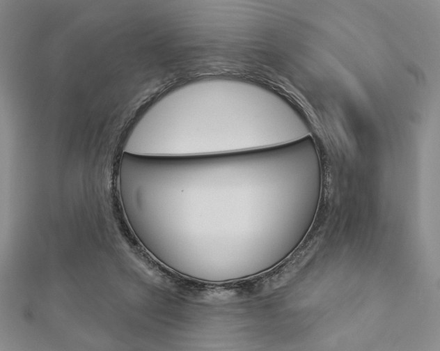 X0000112910257200908241015