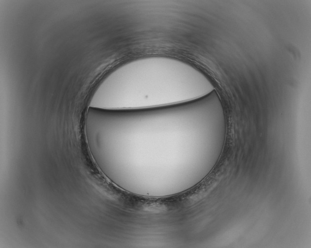 X0000112910258200908241015