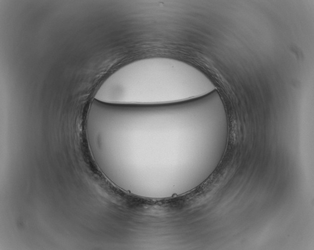 X0000112910259200908241015