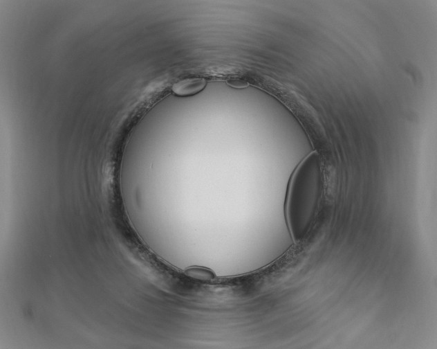X0000112910260200908241015