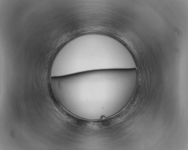X0000112910261200908241015