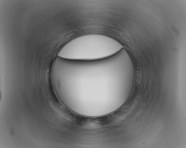 X0000112910263200908241015