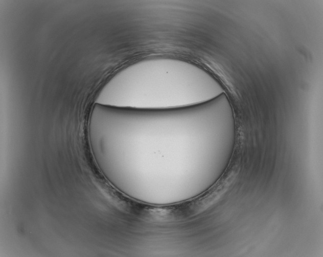 X0000112910265200908241015