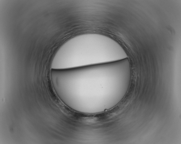 X0000112910266200908241015