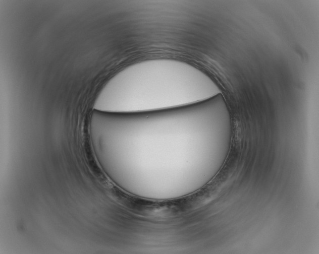 X0000112910267200908241015