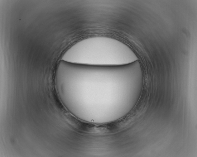 X0000112910270200908241015