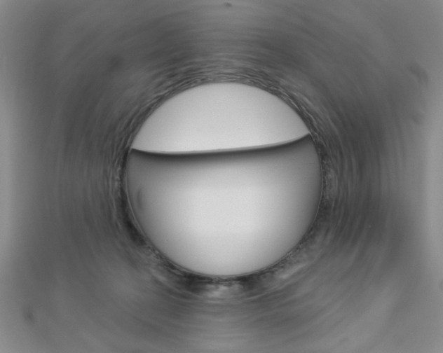 X0000112910274200908241015