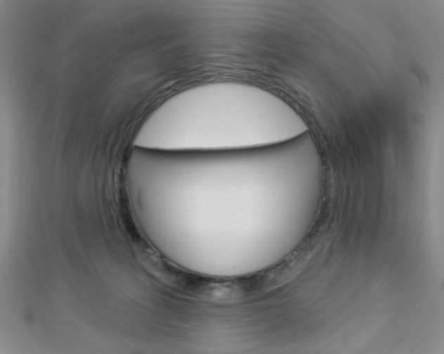 X0000112910275200908241015