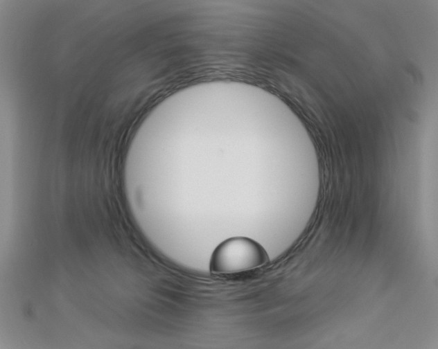 X0000112910276200908241015