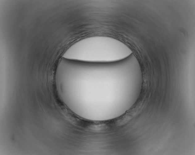 X0000112910278200908241015