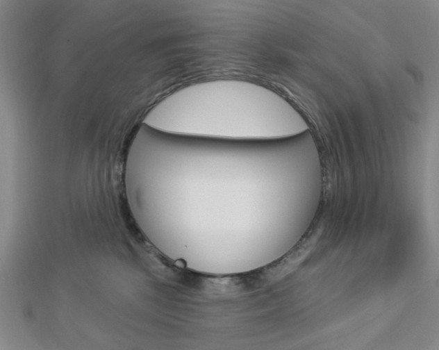 X0000112910281200908241015