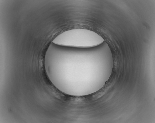 X0000112910282200908241015