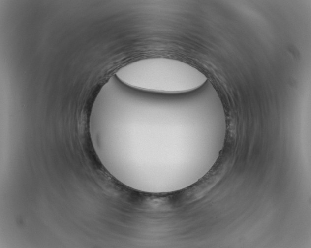 X0000112910283200908241015