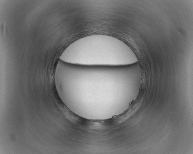 X0000112910285200908241015
