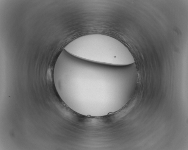 X0000112910286200908241015