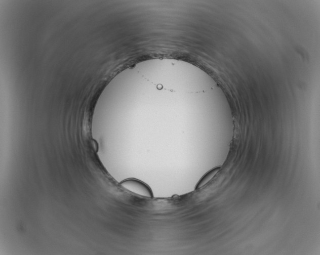 X0000112910287200908241015