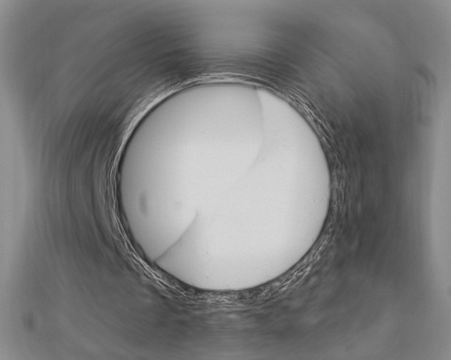 X0000112910289200908241014