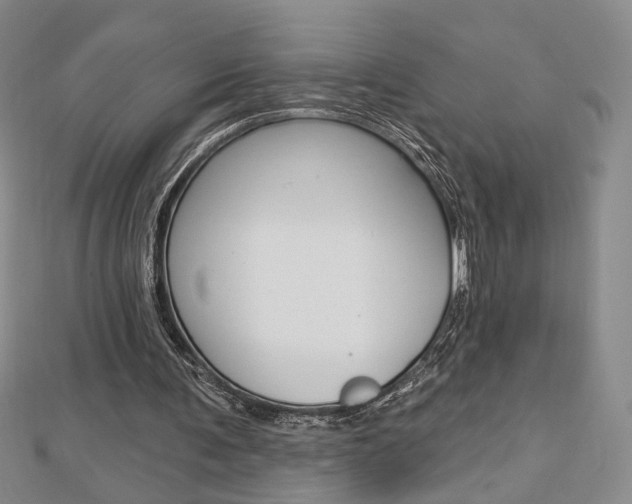 X0000112910291200908241014