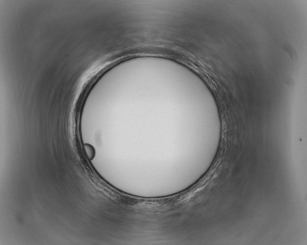 X0000112910294200908241014