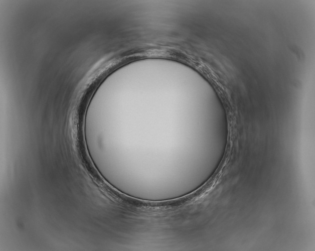 X0000112910295200908241014