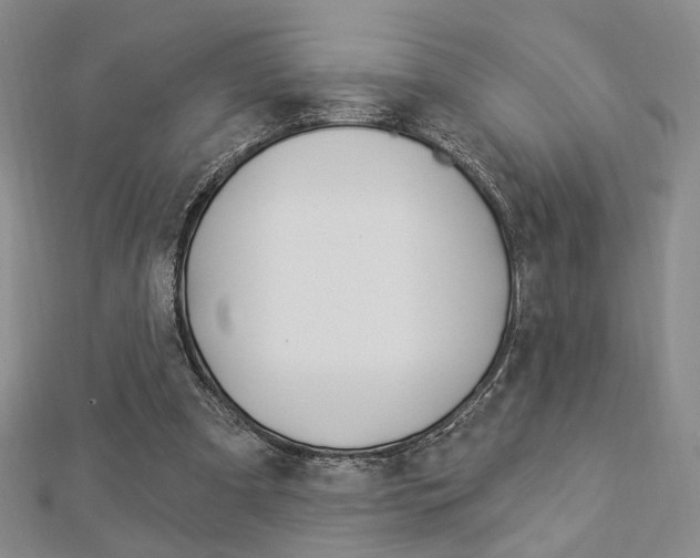 X0000112910297200908241014