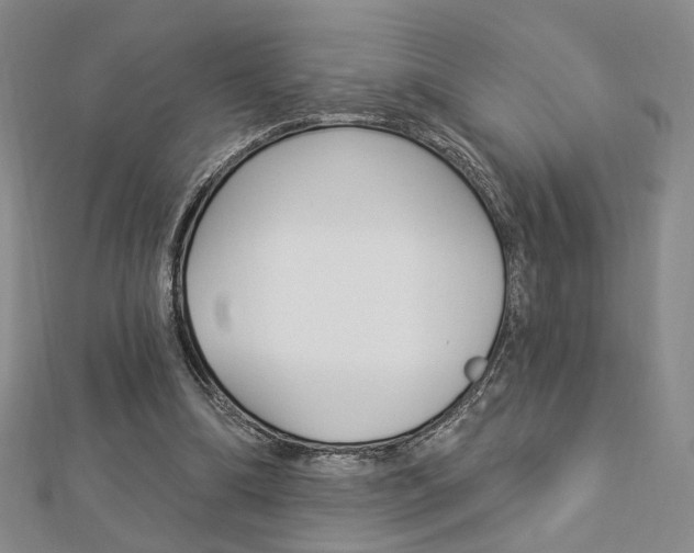 X0000112910298200908241014